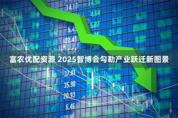 富农优配资源 2025智博会勾勒产业跃迁新图景