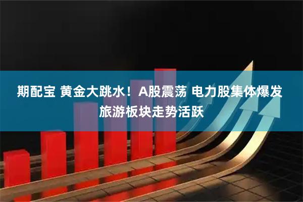 期配宝 黄金大跳水！A股震荡 电力股集体爆发 旅游板块走势活跃