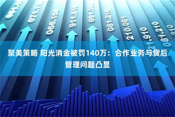 聚美策略 阳光消金被罚140万：合作业务与贷后管理问题凸显