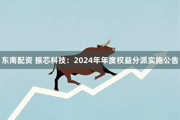 东南配资 振芯科技：2024年年度权益分派实施公告