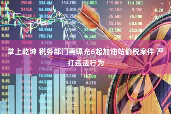 掌上乾坤 税务部门再曝光6起加油站偷税案件 严打违法行为
