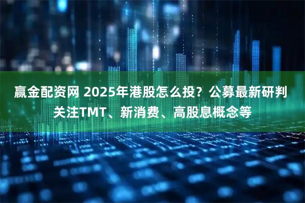 赢金配资网 2025年港股怎么投？公募最新研判 关注TMT、新消费、高股息概念等