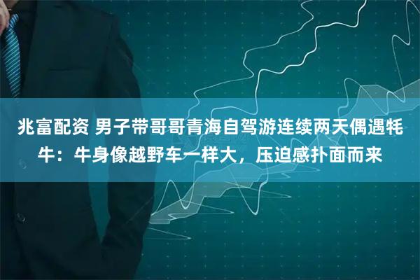 兆富配资 男子带哥哥青海自驾游连续两天偶遇牦牛:牛身像越野车一样大,压迫感扑面而来