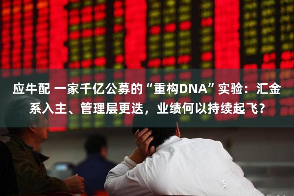 应牛配 一家千亿公募的“重构DNA”实验：汇金系入主、管理层更迭，业绩何以持续起飞？