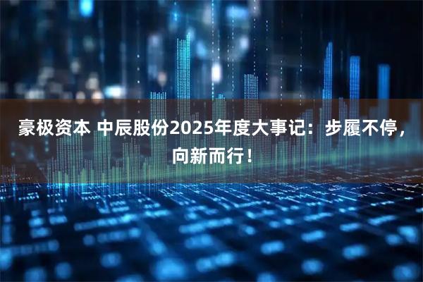 豪极资本 中辰股份2025年度大事记：步履不停，向新而行！