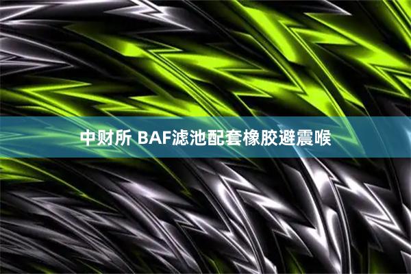 中财所 BAF滤池配套橡胶避震喉