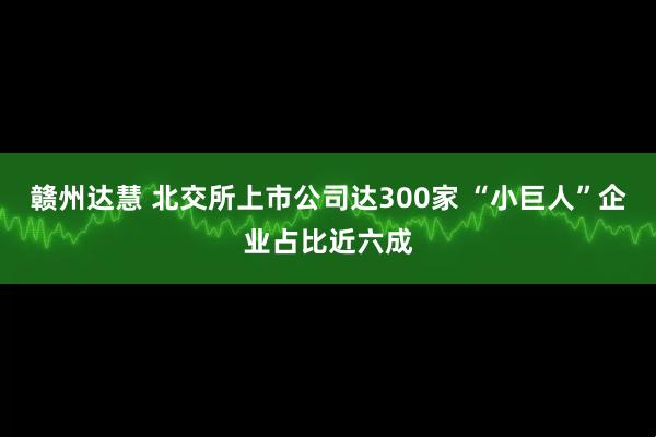 赣州达慧 北交所上市公司达300家 “小巨人”企业占比近六成