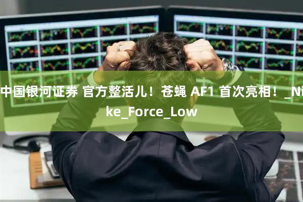 中国银河证券 官方整活儿!苍蝇 AF1 首次亮相!_Nike_Force_Low